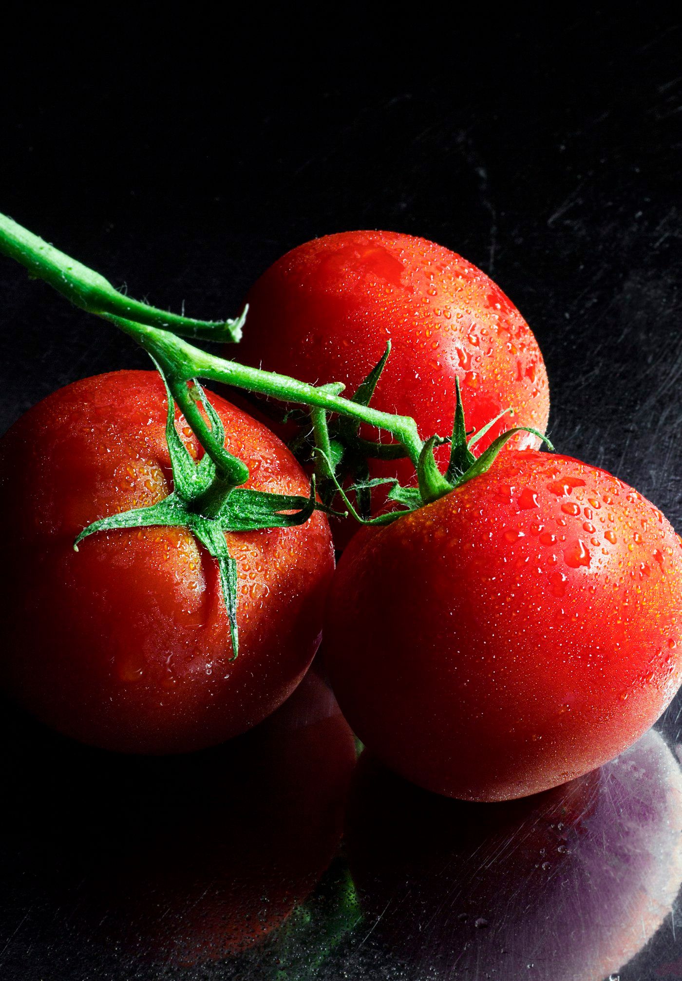 Frische Tomaten am Strauch vor dunklem Hintergrund